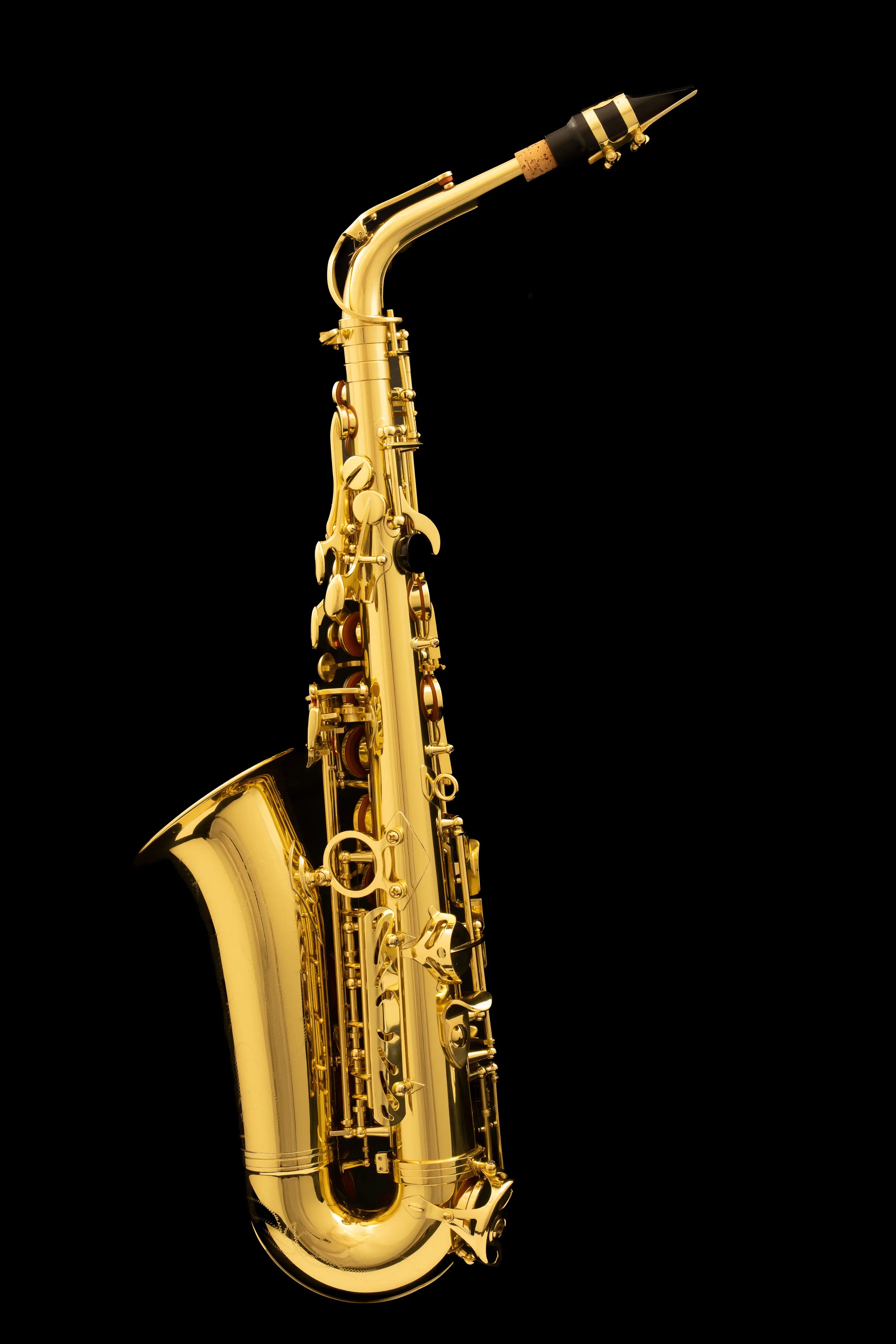 WSXA-400 Alto Saxophone