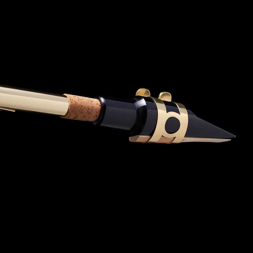 WSXBS-900 Bass Saxophone Gold Lacquer