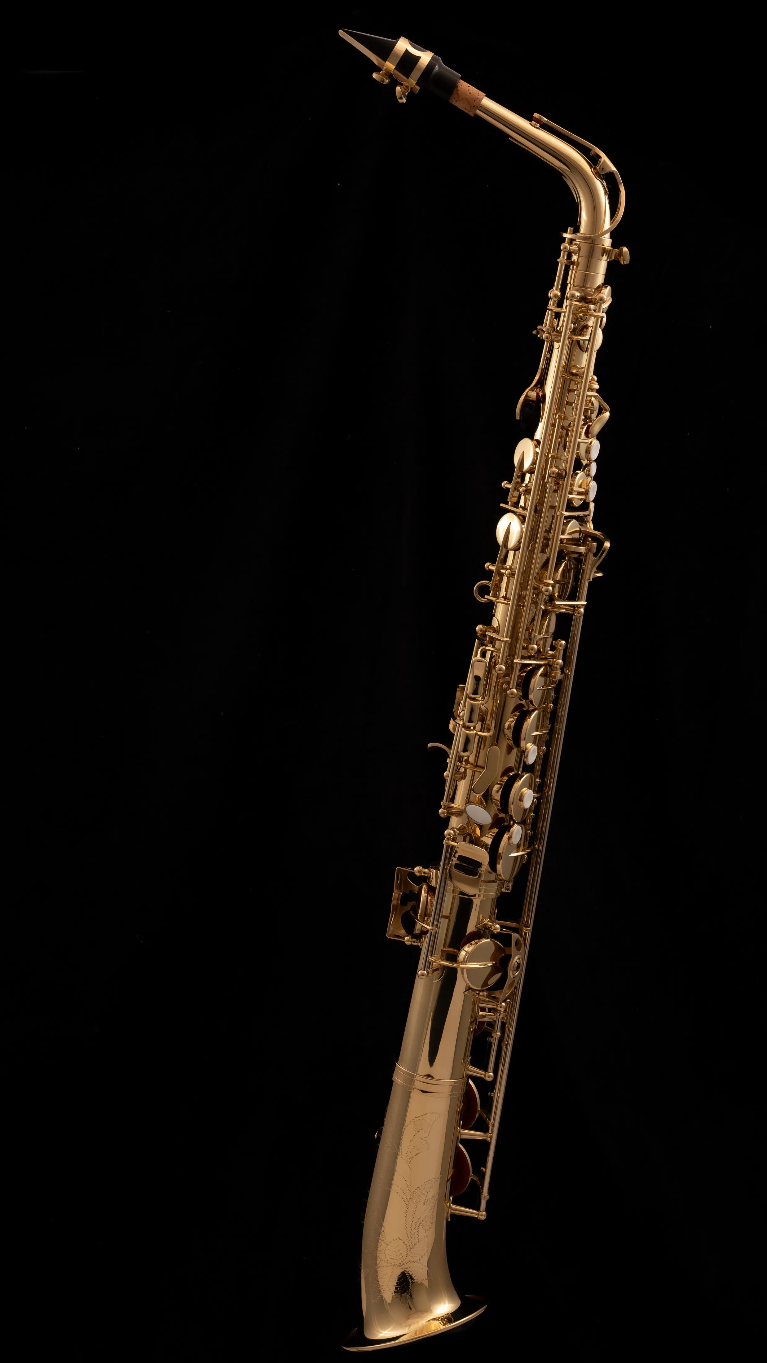 WSXSA-900 Straight Alto Saxophone