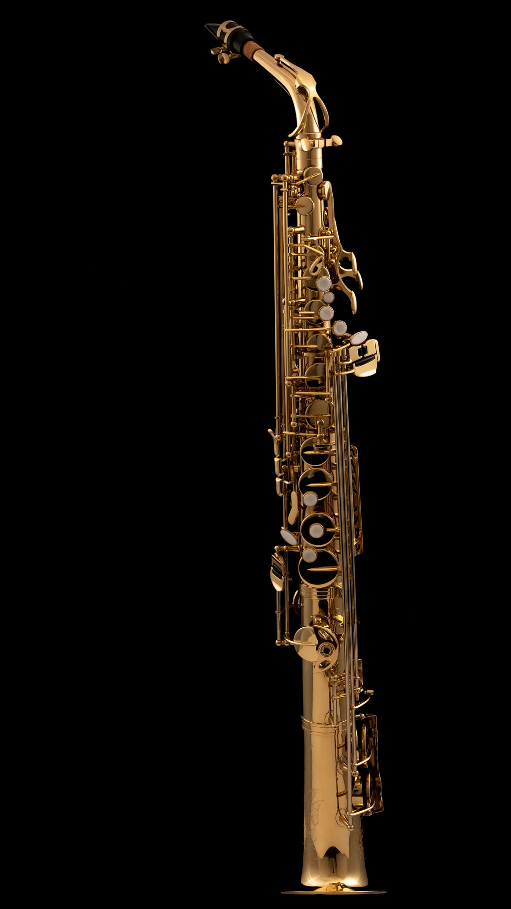 WSXSA-900 Straight Alto Saxophone