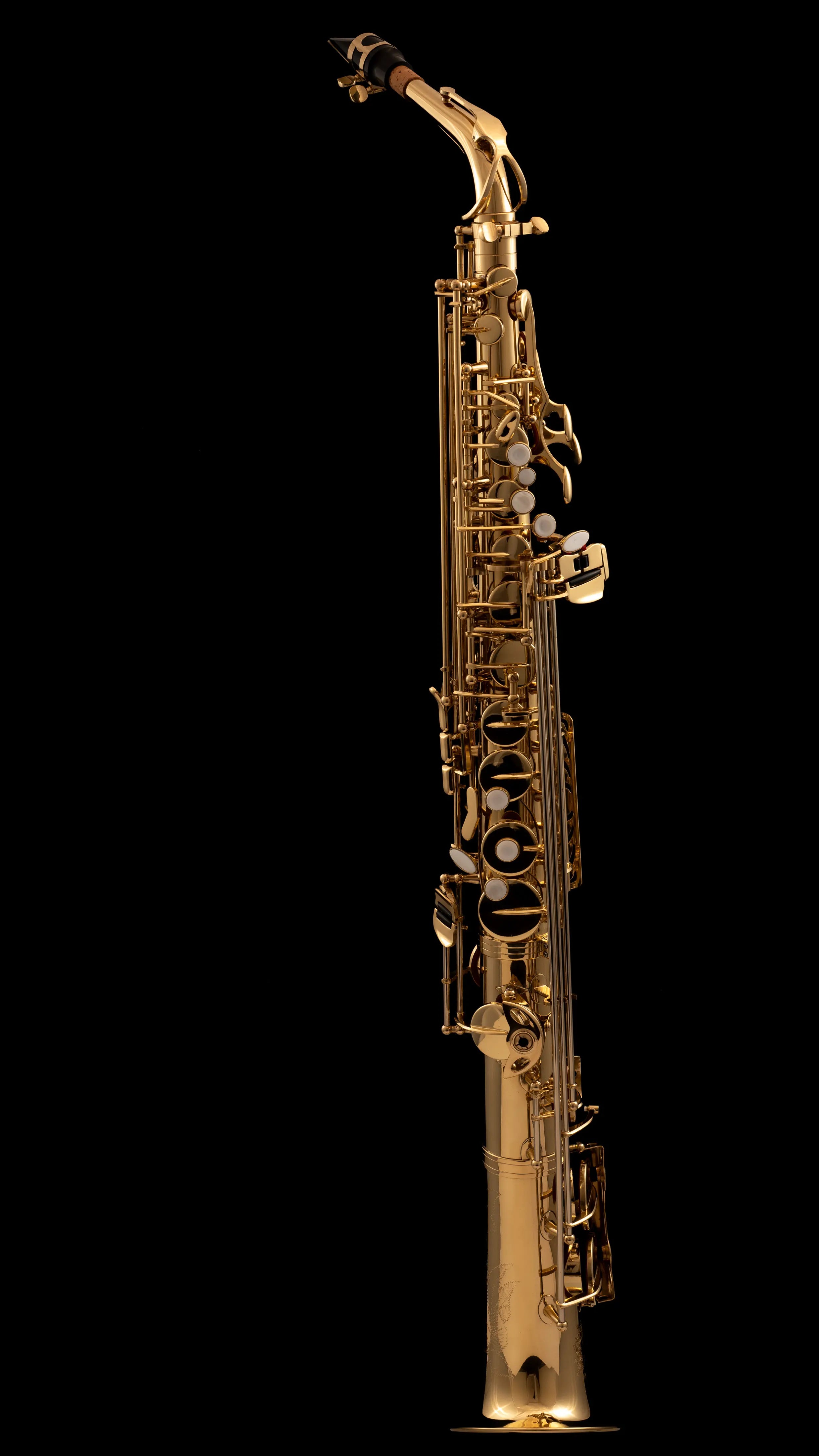 WSXSA-900 Straight Alto Saxophone