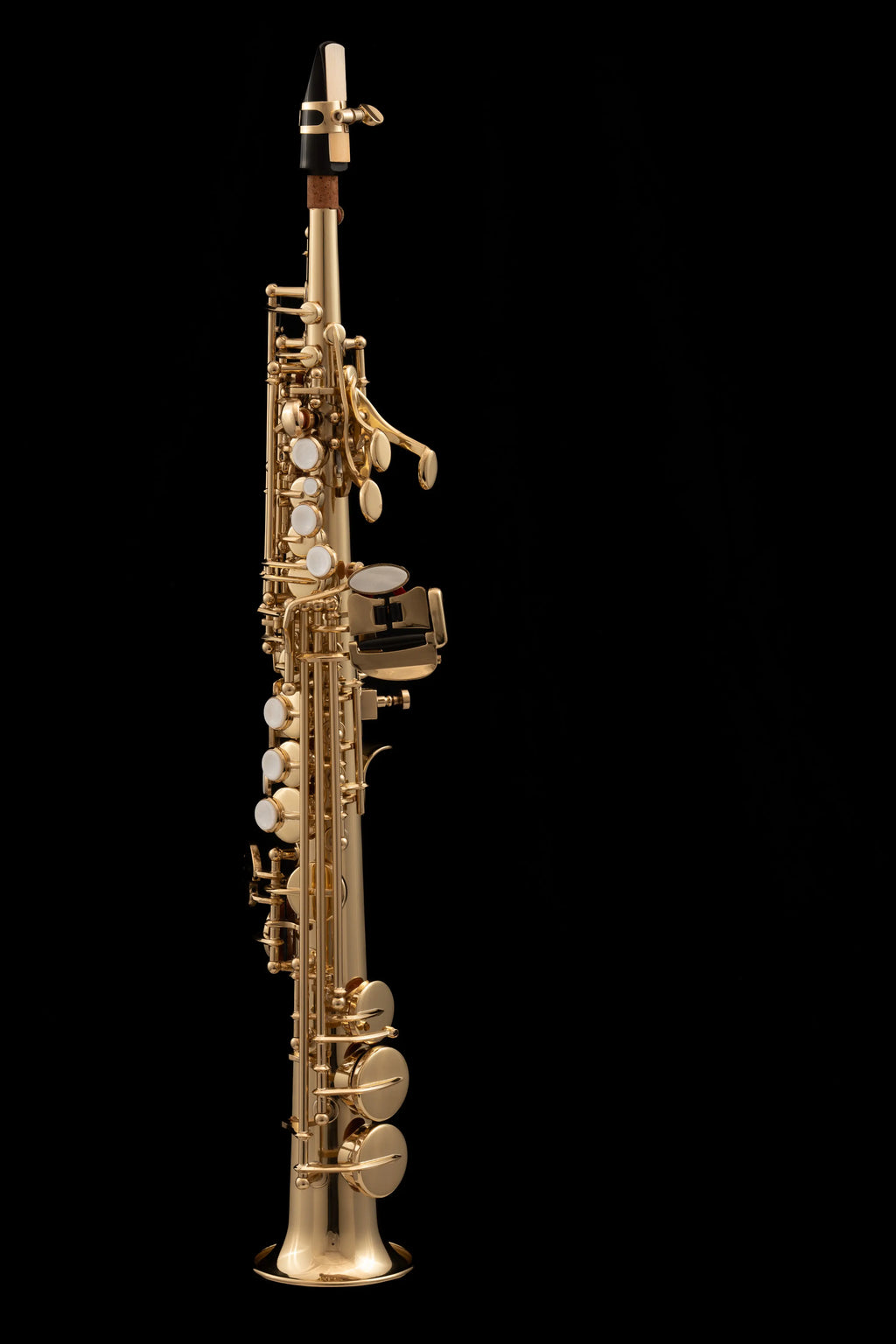 WSXSO-900 Sopranino Saxophone Gold Lacquer