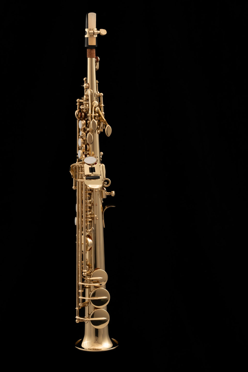 WSXSO-900 Sopranino Saxophone Gold Lacquer