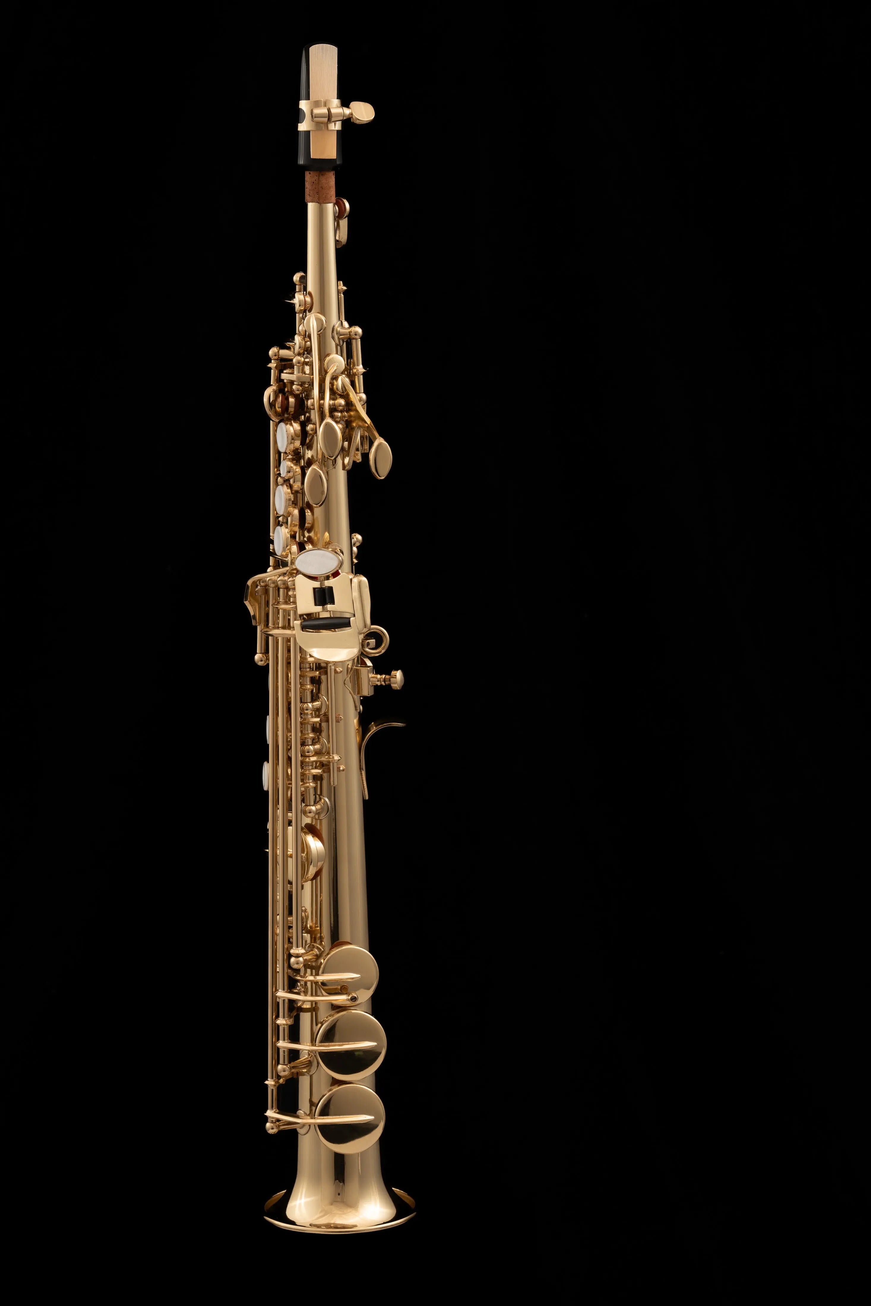 WSXSO-900 Sopranino Saxophone Gold Lacquer