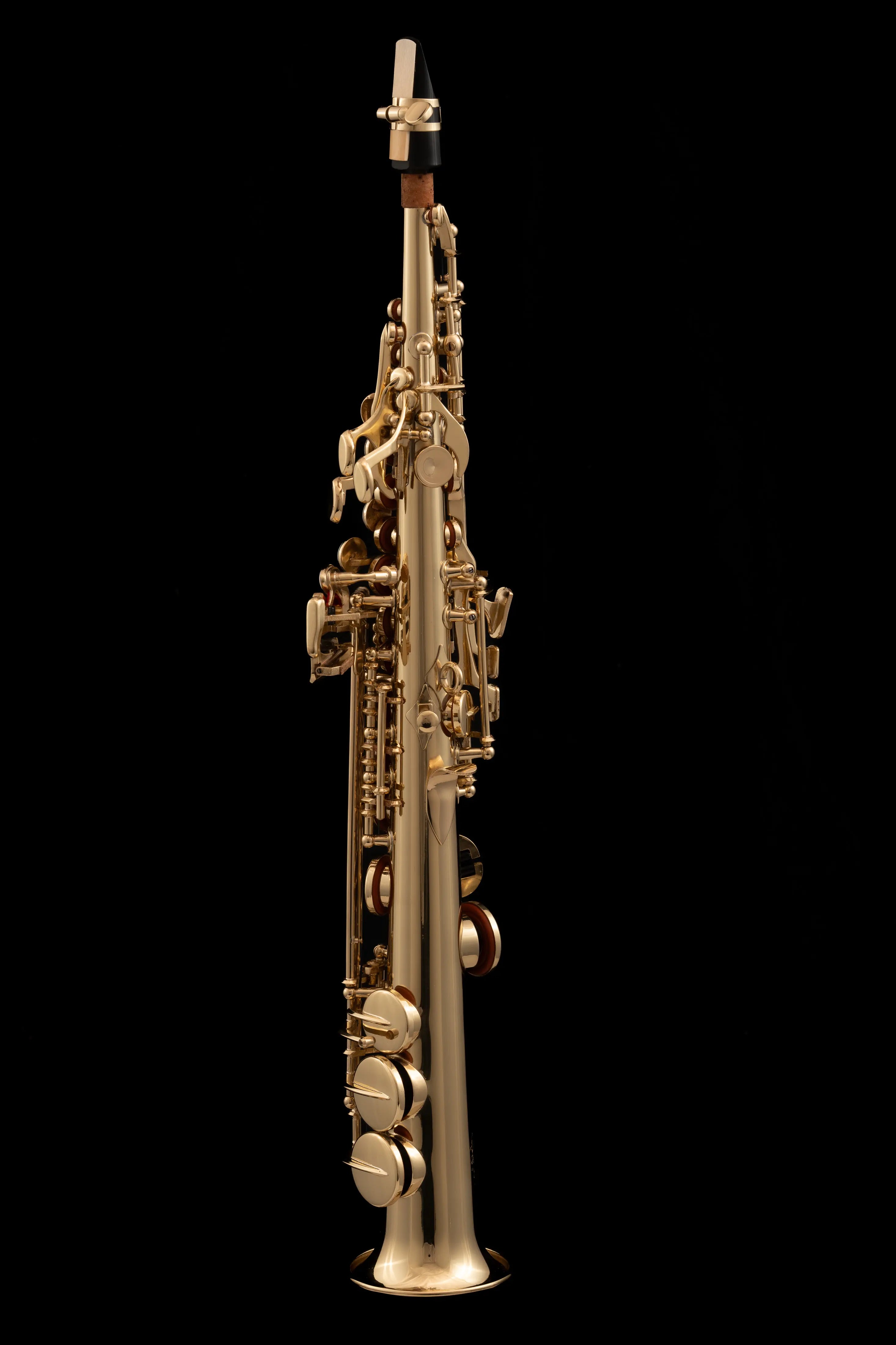 WSXSO-900 Sopranino Saxophone Gold Lacquer